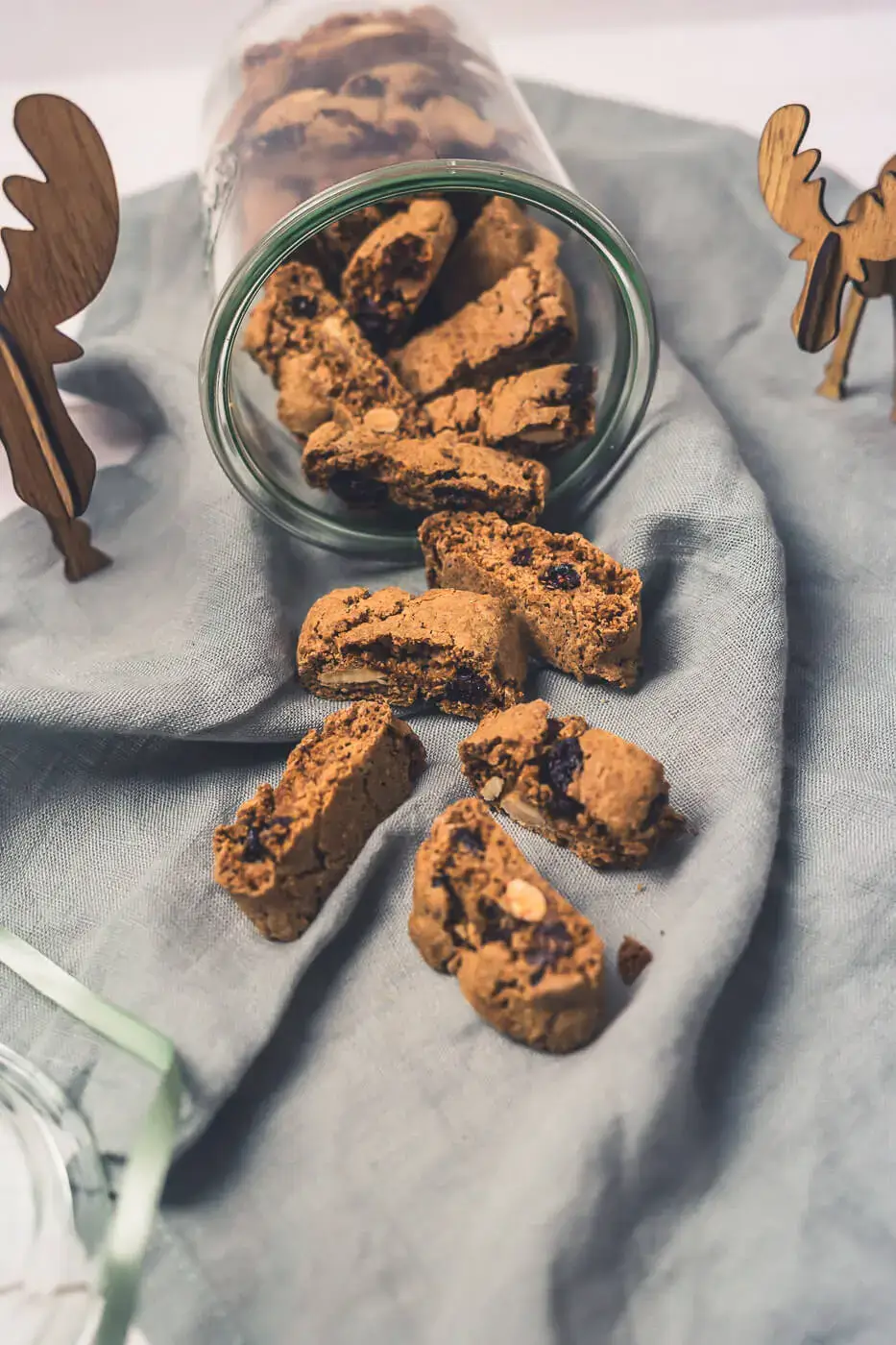 Die schönsten Weihnachtsplätzchen – einfache Rezepte für die Adventszeit Cranberry-Lebkuchen-Cantuccini