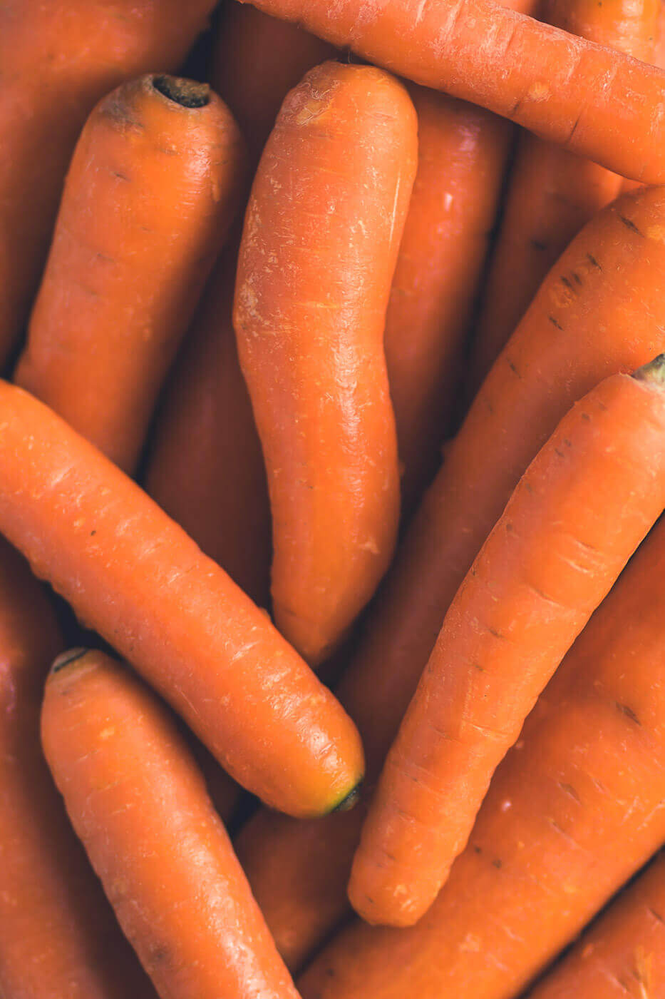 Zutat des Monats: Karotten – Backideen für Frühling & Ostern Zutat des Monats: Karotten – Backideen für Frühling & Ostern