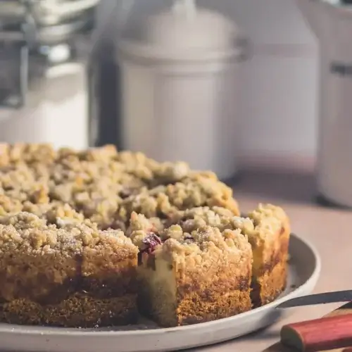 Dinkel-Rhabarber-Streuselkuchen mit Vanillepudding