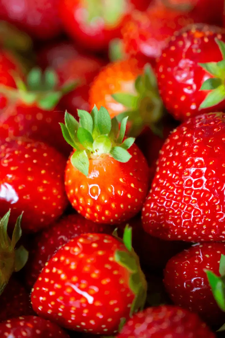 Zutat des Monats: Erdbeeren – die besten Backrezepte Zutat des Monats: Erdbeeren – die besten Backrezepte