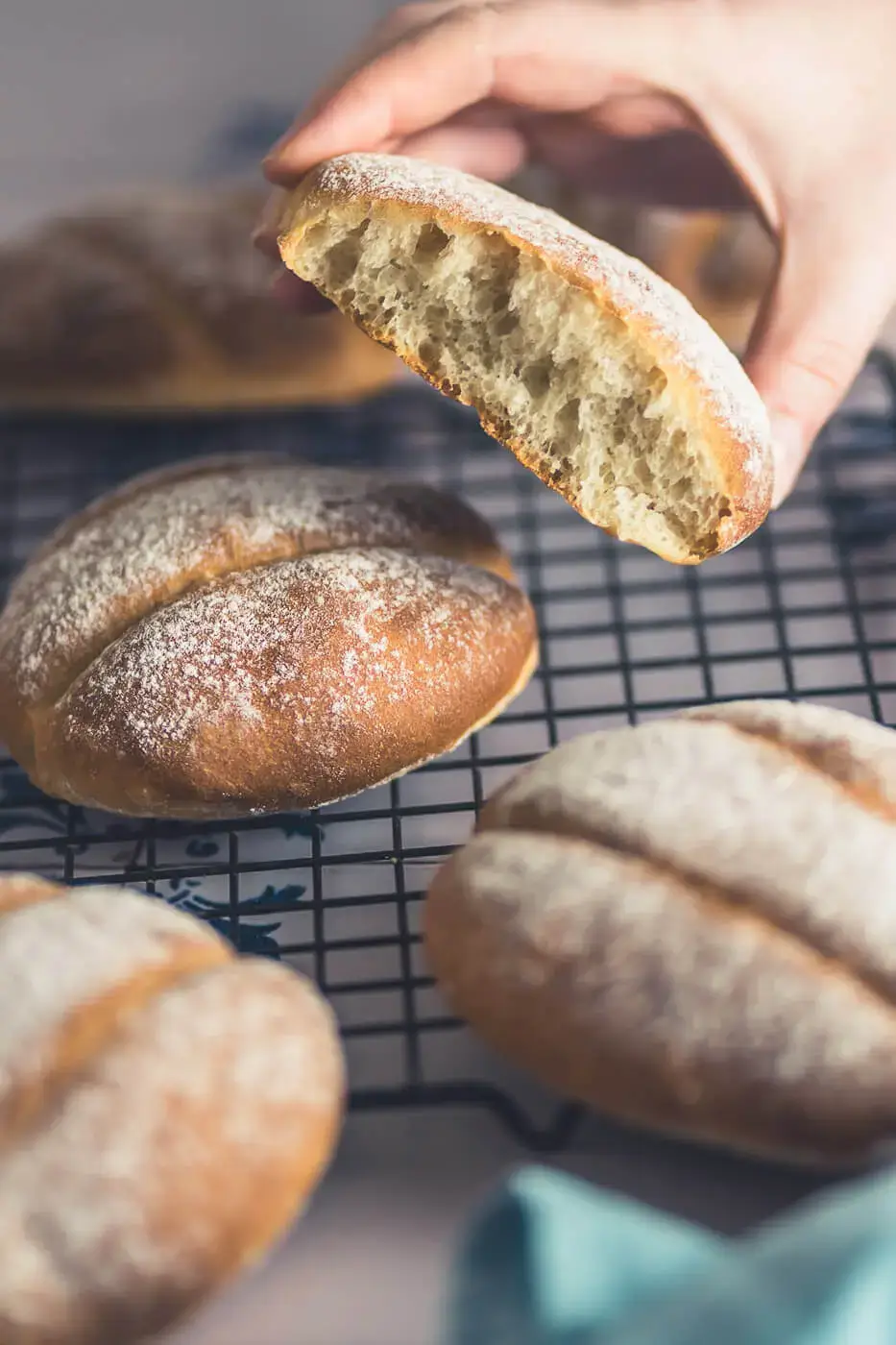 Telera-Brötchen Telera-Brötchen