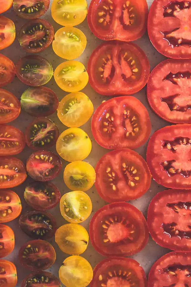 Mediterrane Tomaten-Galette mediterrane tomaten galette linalsbackhimmel 21