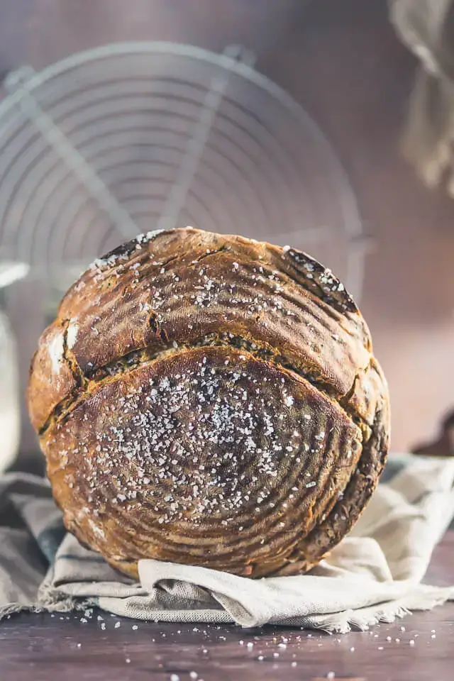 Maronen-Honig-Brot – aromatisches Herbstbrot selber backen maronen honig brot linalsbackhimmel 11